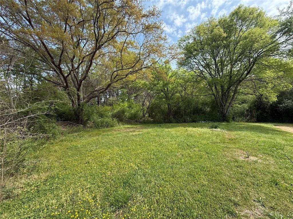 49 Bethlehem Road Cedartown, GA 30125 - Photo 9 of 27