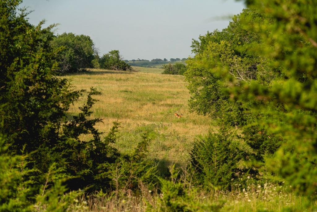 550 California Road Williamsburg, KS 66095 - Photo 20 of 75 Gallery Image 20