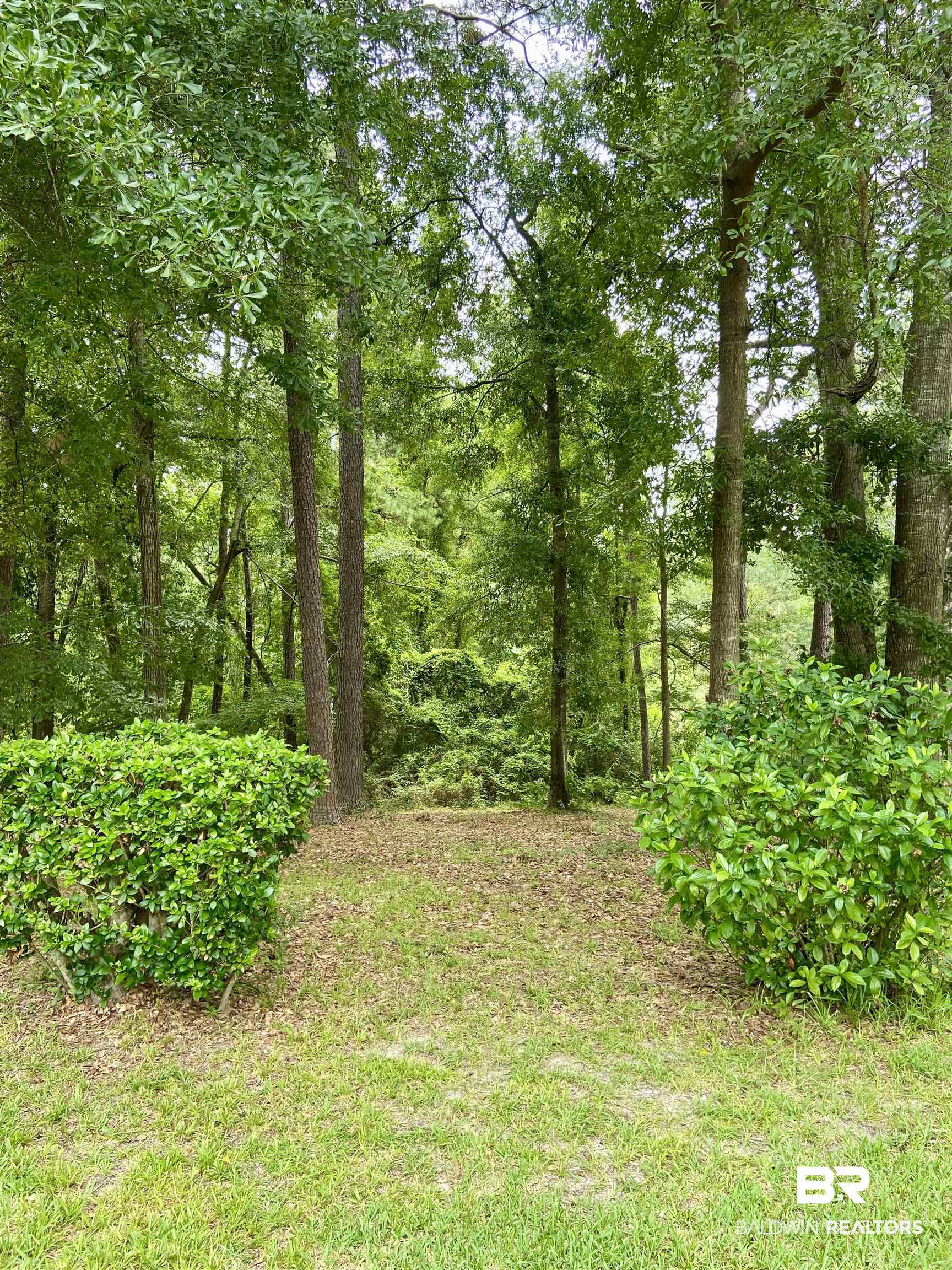 102 Ashley Street Evergreen, AL 36401 - Photo 25 of 26 View of yard