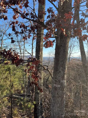 $32,000 | 0 Brighton Drive, Unit 237, Bostic, NC 28018