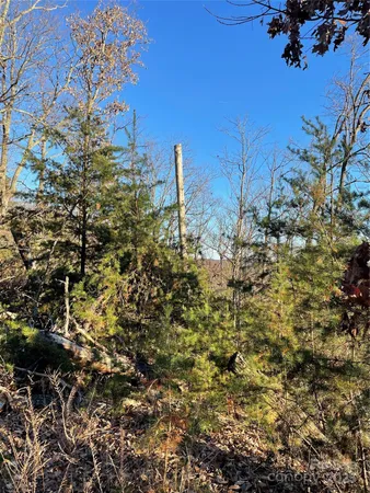 $12,500 | 0 Brighton Drive, Unit 237, Bostic, NC 28018