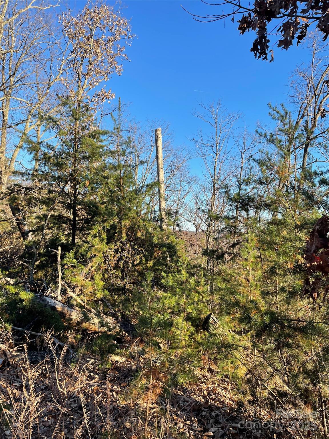 0 Brighton Drive, Unit 237 Bostic, NC 28018 - Photo 2 of 9