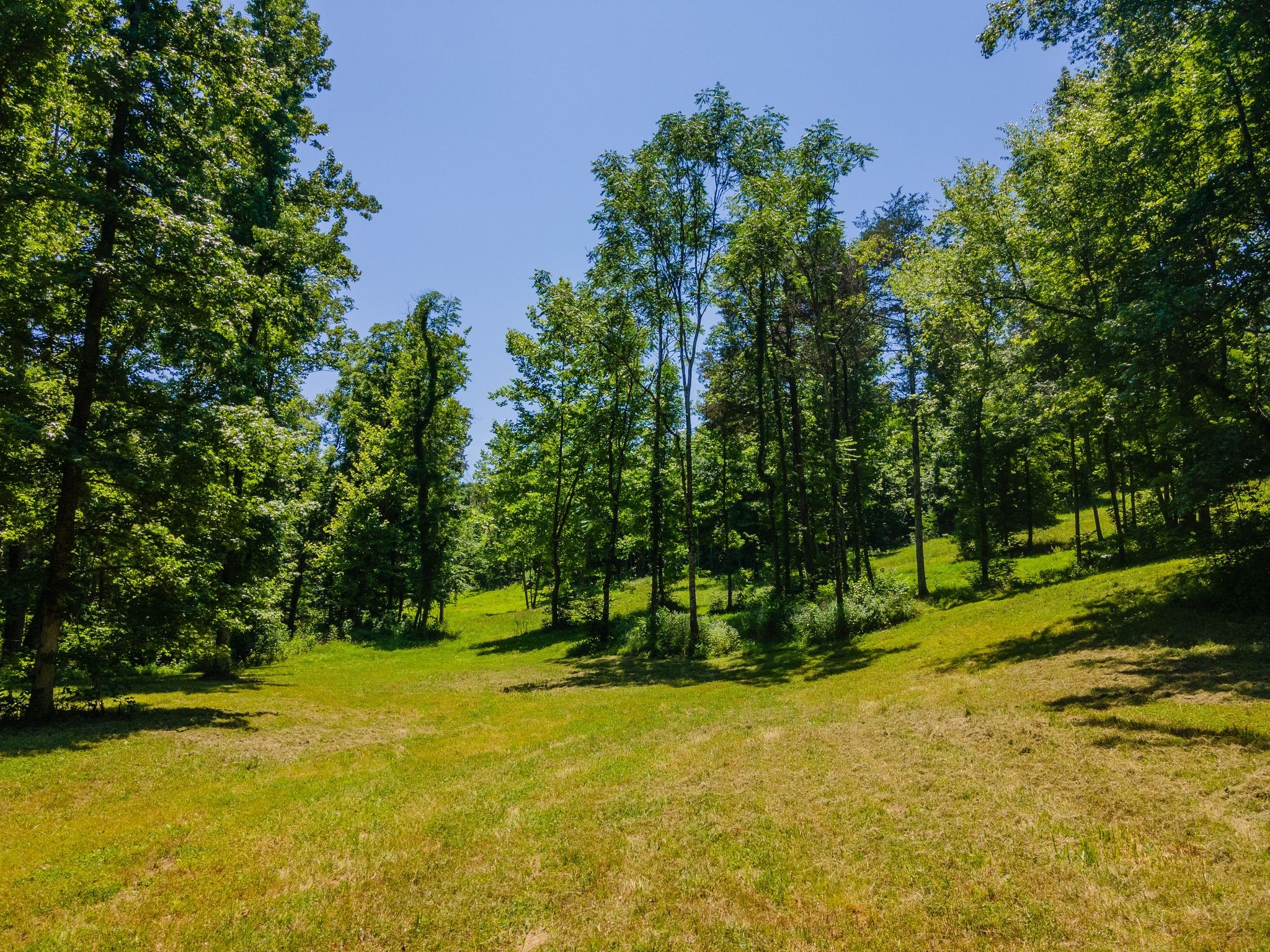 351 New Era Landing Road Linden, TN 37096 - Photo 62 of 65