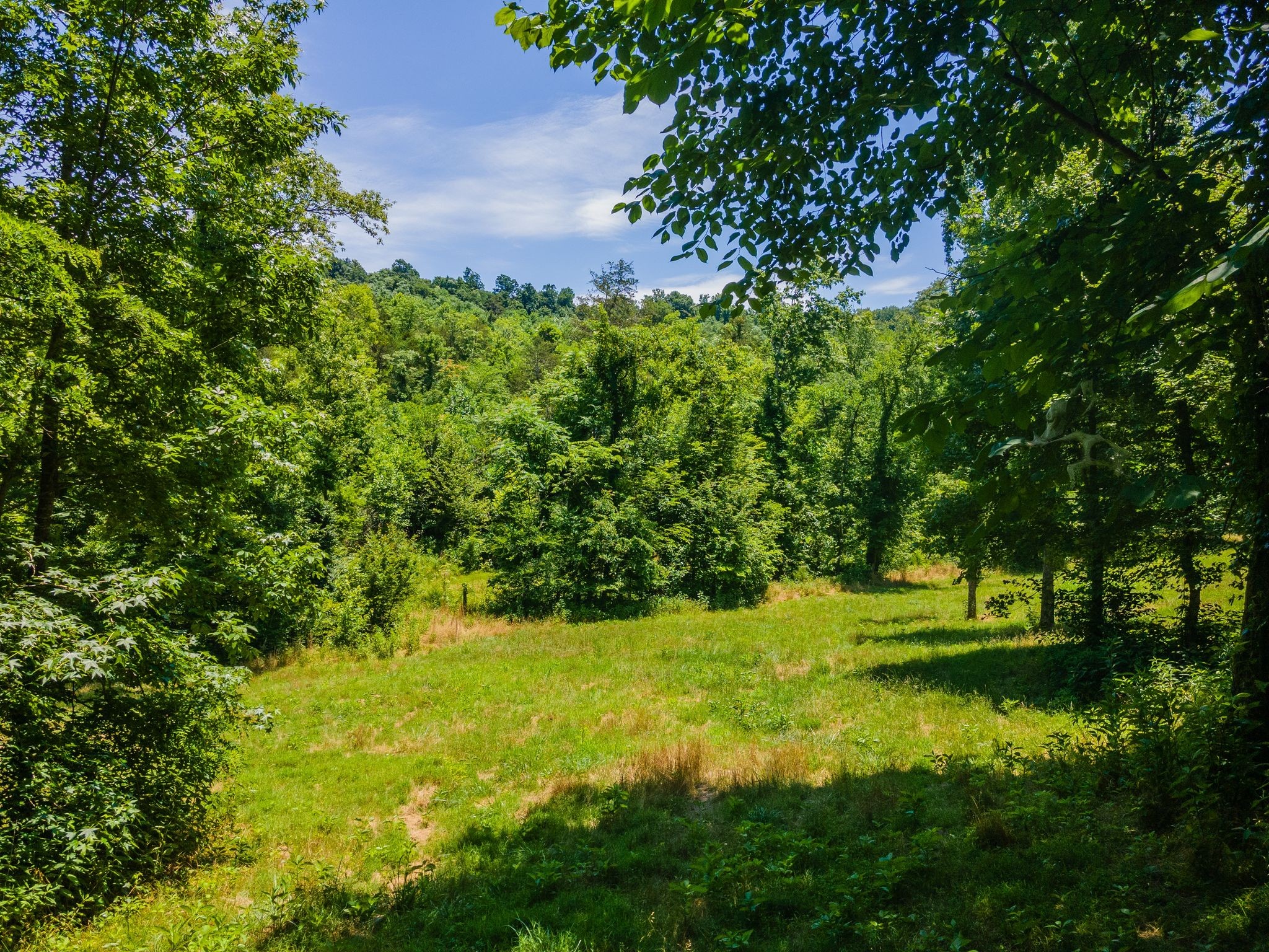 351 New Era Landing Road Linden, TN 37096 - Photo 64 of 65