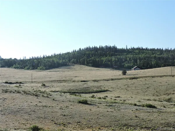 a view of dirt field with large trees