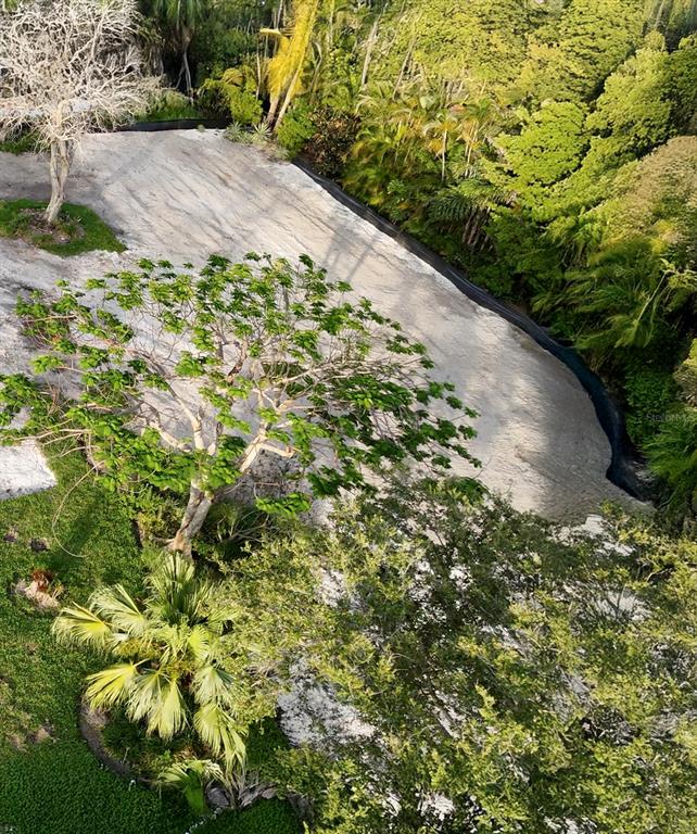 175 Bath Club Boulevard North North Redington Beach, FL 33708 - Photo 3 of 10 a view of a garden with a flower