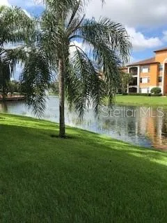 a view of a house with a big yard and palm trees