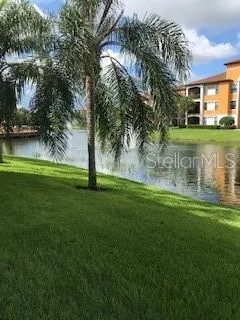 a view of a house with a yard and palm trees