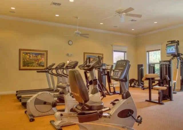 a view of outdoor space with palm trees