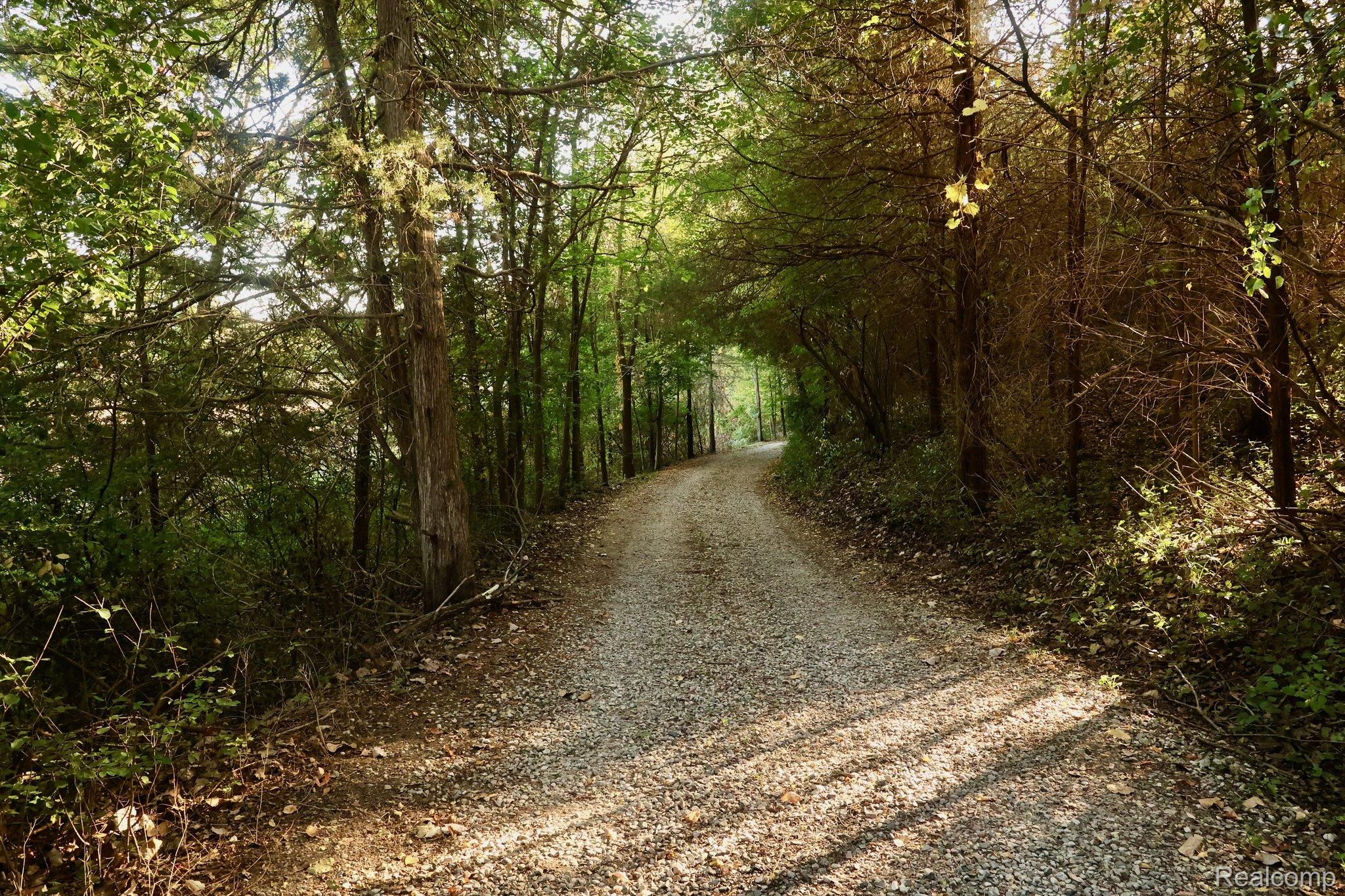 8312 Whitmore Lake Road Brighton, MI 48116 - Photo 10 of 43 Gravel drive surrounded by dense, mature trees and natural foliage