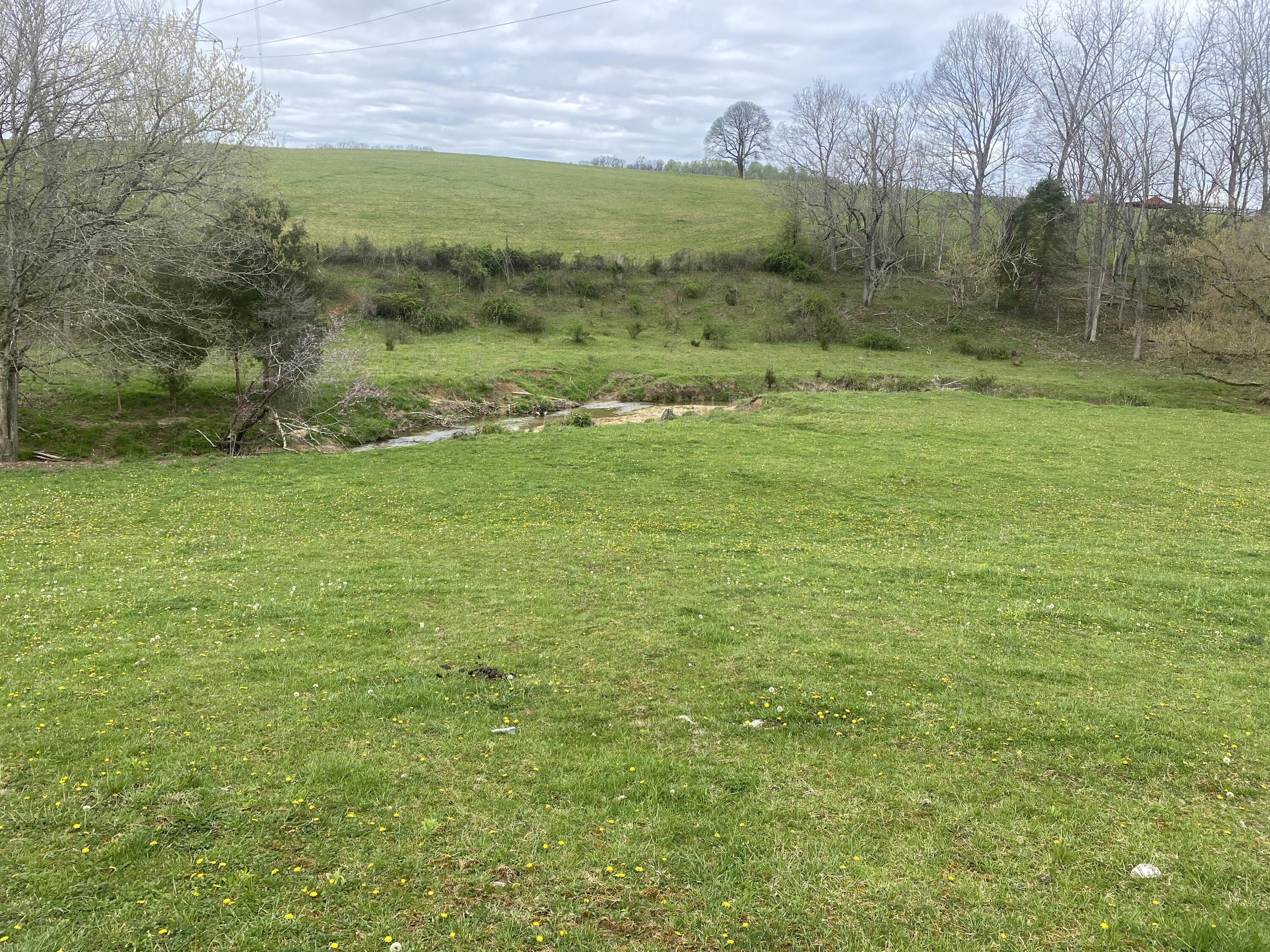 Lot 3 Double Springs Road Fall Branch, TN 37656 - Photo 3 of 9 IMG_4623