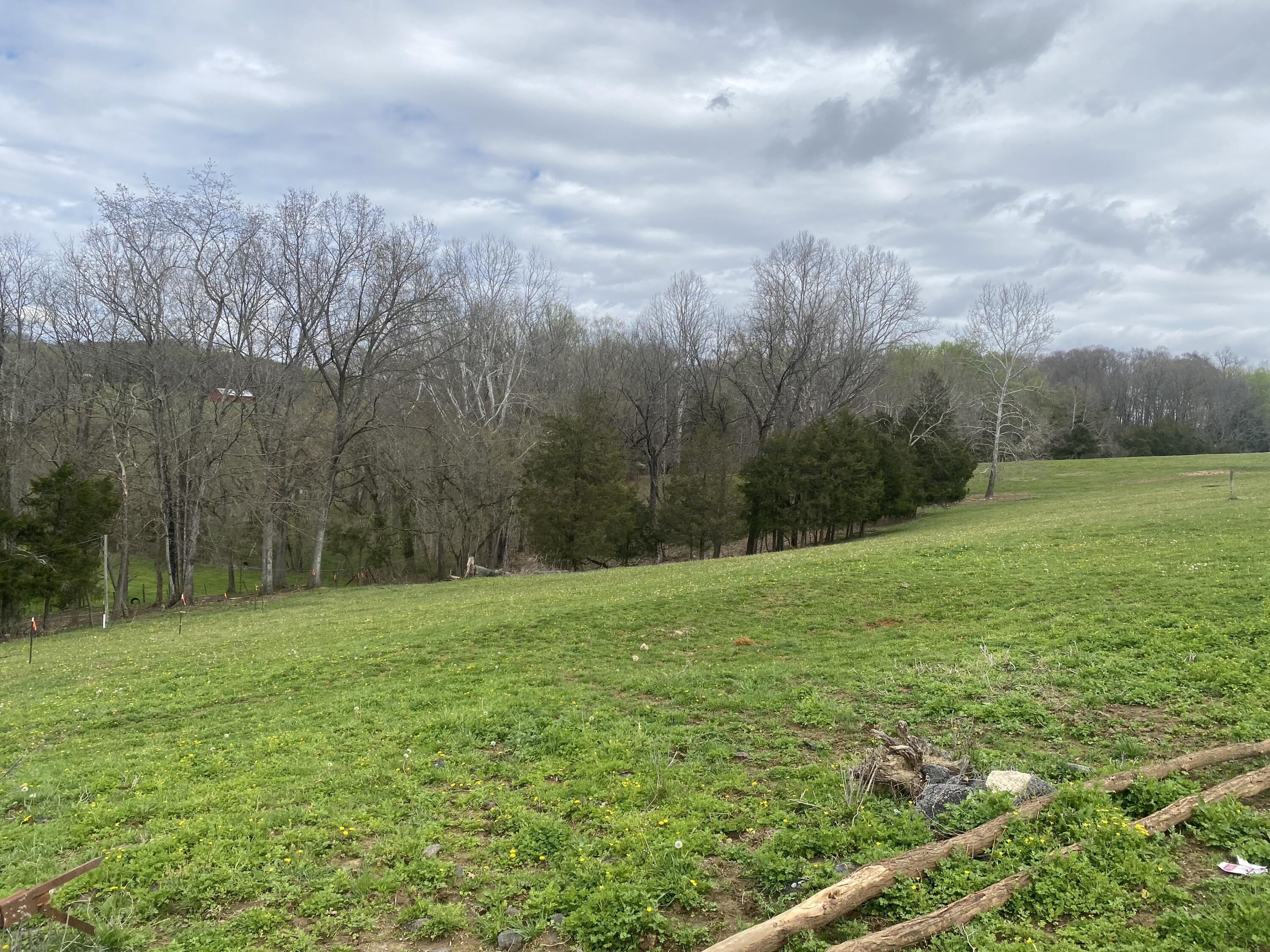 Lot 3 Double Springs Road Fall Branch, TN 37656 - Photo 5 of 9 IMG_4625