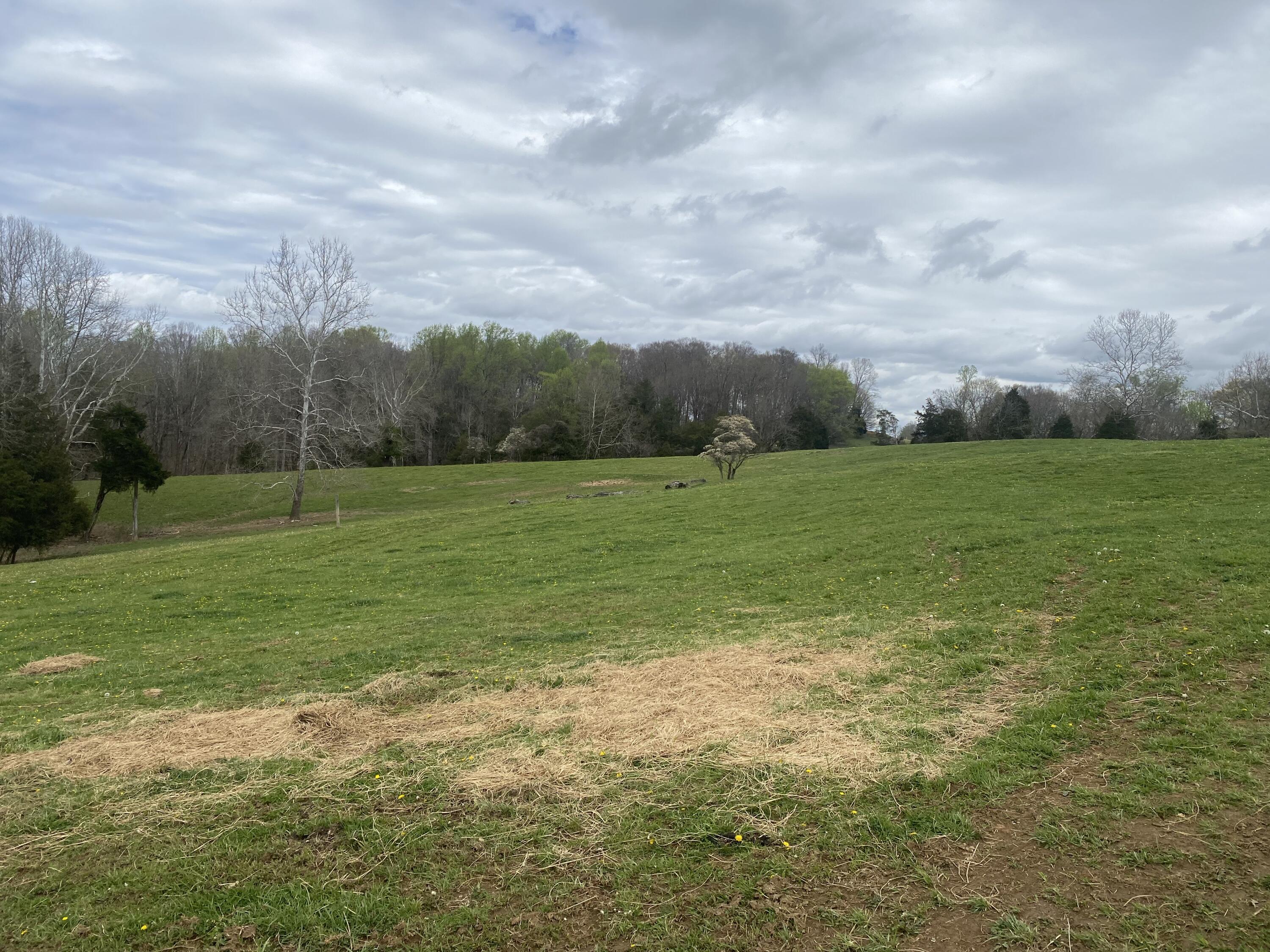 Lot 3 Double Springs Road Fall Branch, TN 37656 - Photo 6 of 9 IMG_4626