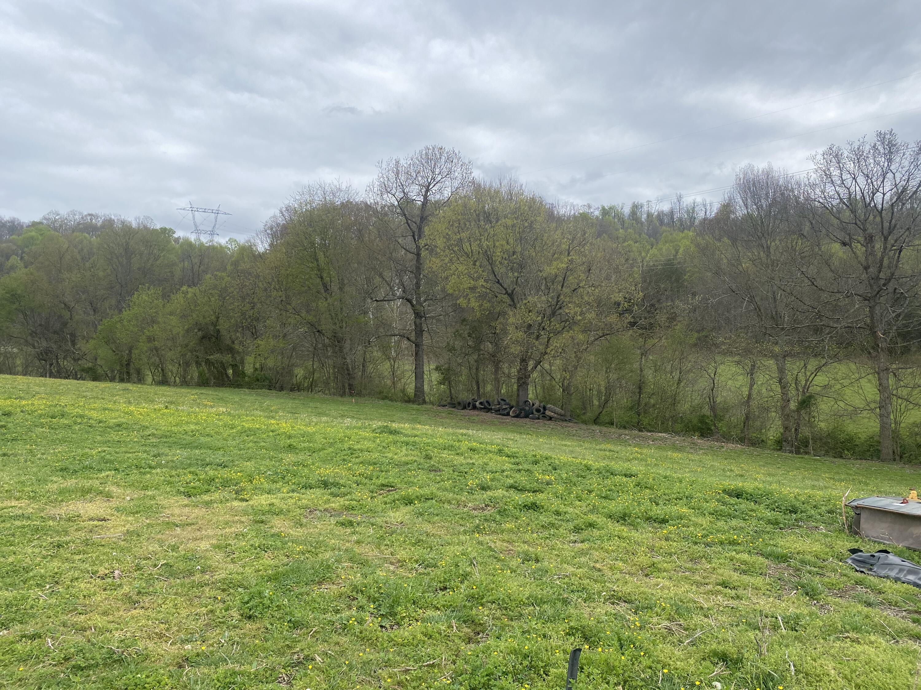 Lot 3 Double Springs Road Fall Branch, TN 37656 - Photo 8 of 9 IMG_4628