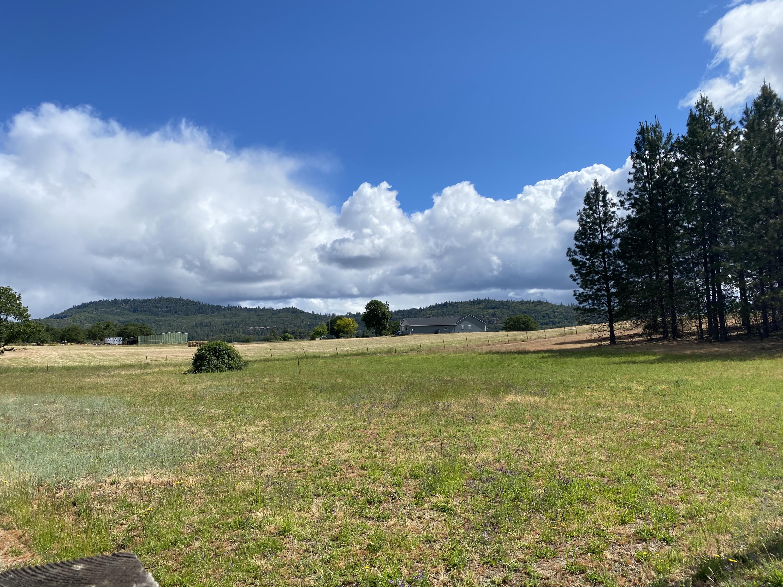 8500 Ramsey Road Gold Hill, OR 97525 - Photo 28 of 34 IMG-0459