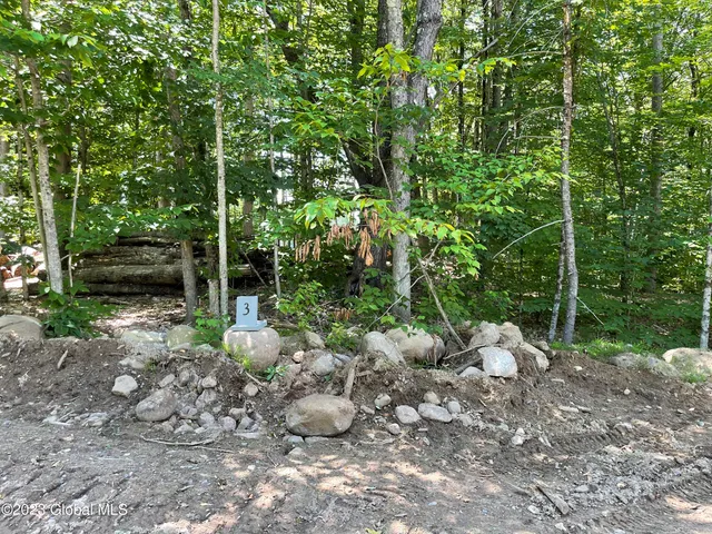 $89,000 | 3 Adk Acres Prvt Road, Unit LOT 4), Northville, NY 12134