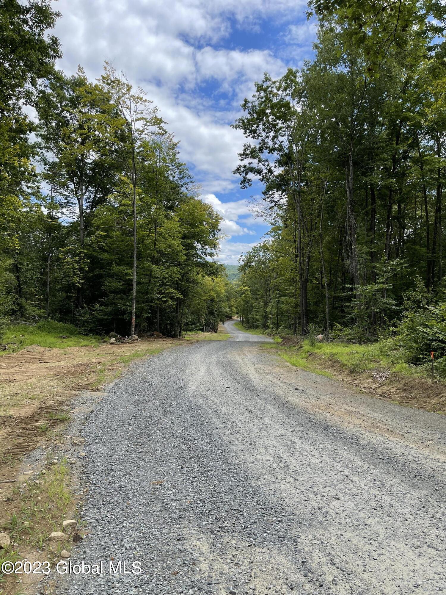 3 Adk Acres Prvt Road, Unit LOT 4) Northville, NY 12134 - Photo 5 of 7 06C8AC47-93A4-4CAF-B5A3-86FC52143865