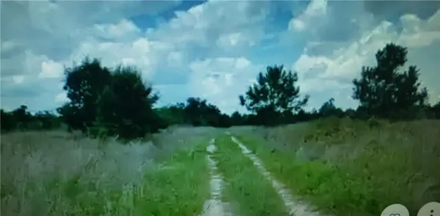 $9,900 | Lot D6 Palm Circle, Hawkinsville, GA 31036