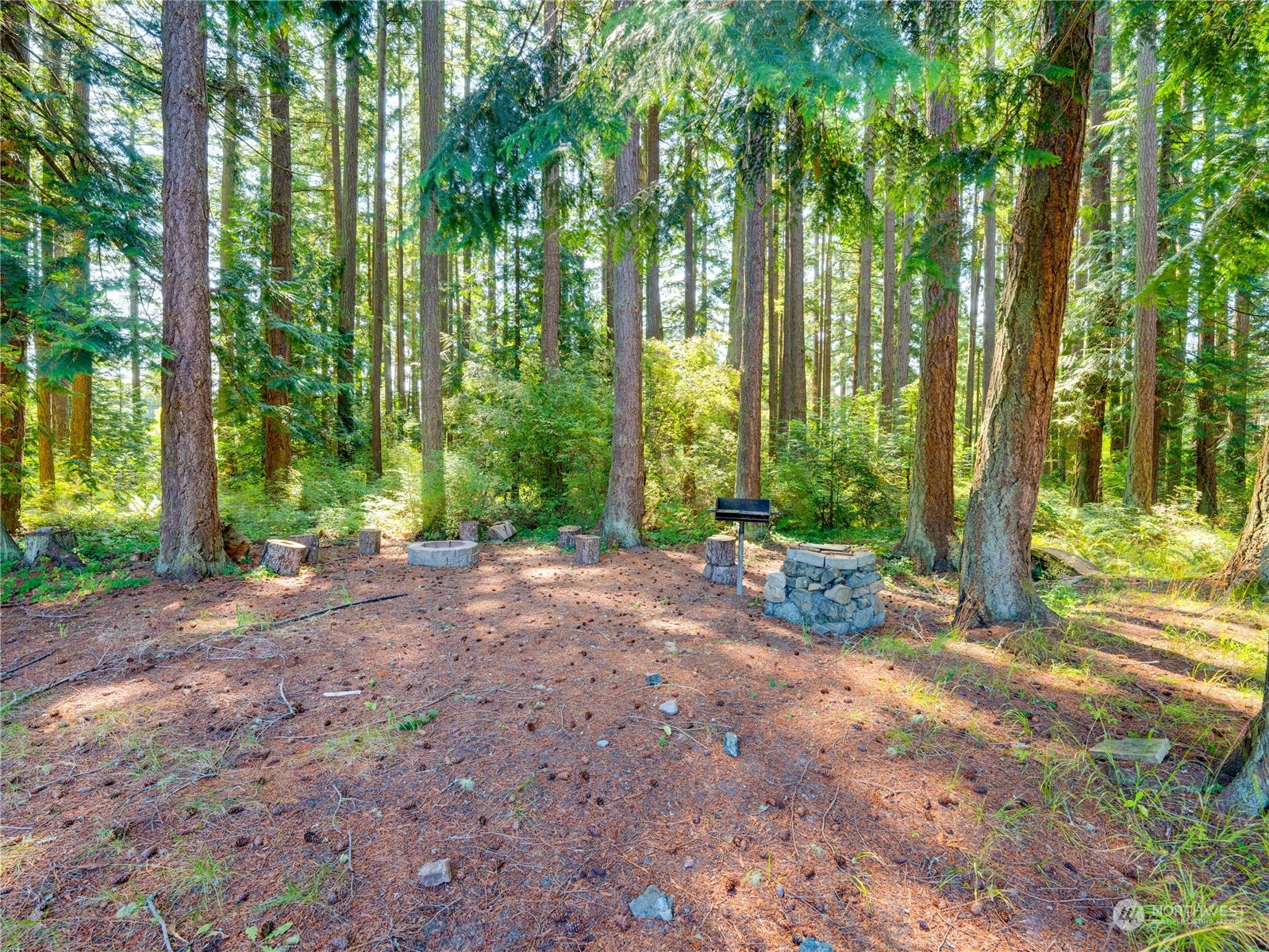 4204 Sharpe Road Anacortes, WA 98221 - Photo 13 of 39 a view of a tree in the middle of a yard