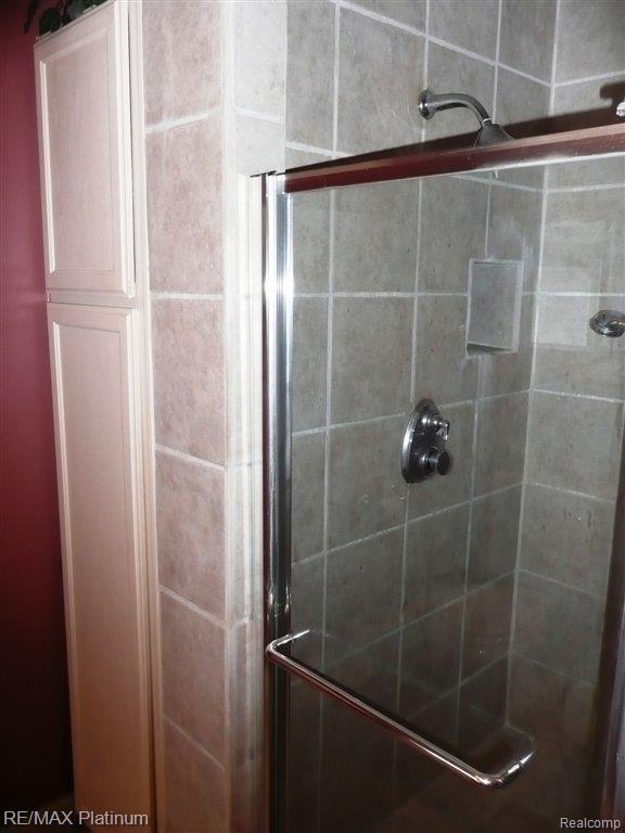 2422 Pleasant Ridge Howell, MI 48843 - Photo 10 of 17 Master Shower