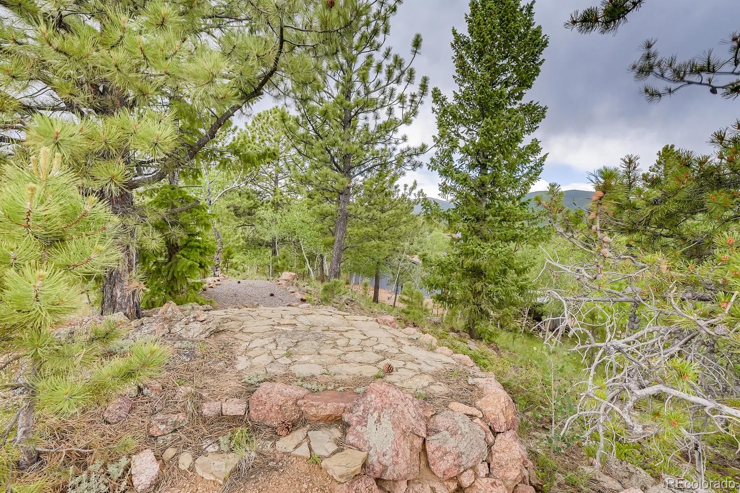 24 West Crosscut Road Bailey, CO 80421 - Photo 18 of 28 a view of a yard with plants and trees