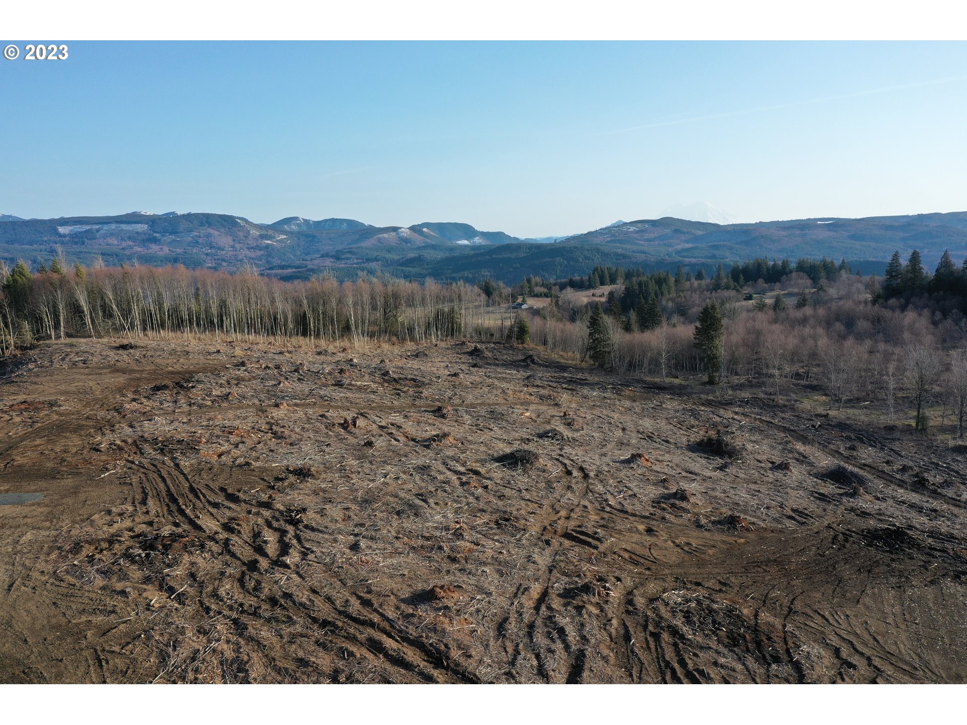 4 Hagen Road Mossyrock, WA 98564 - Photo 13 of 24