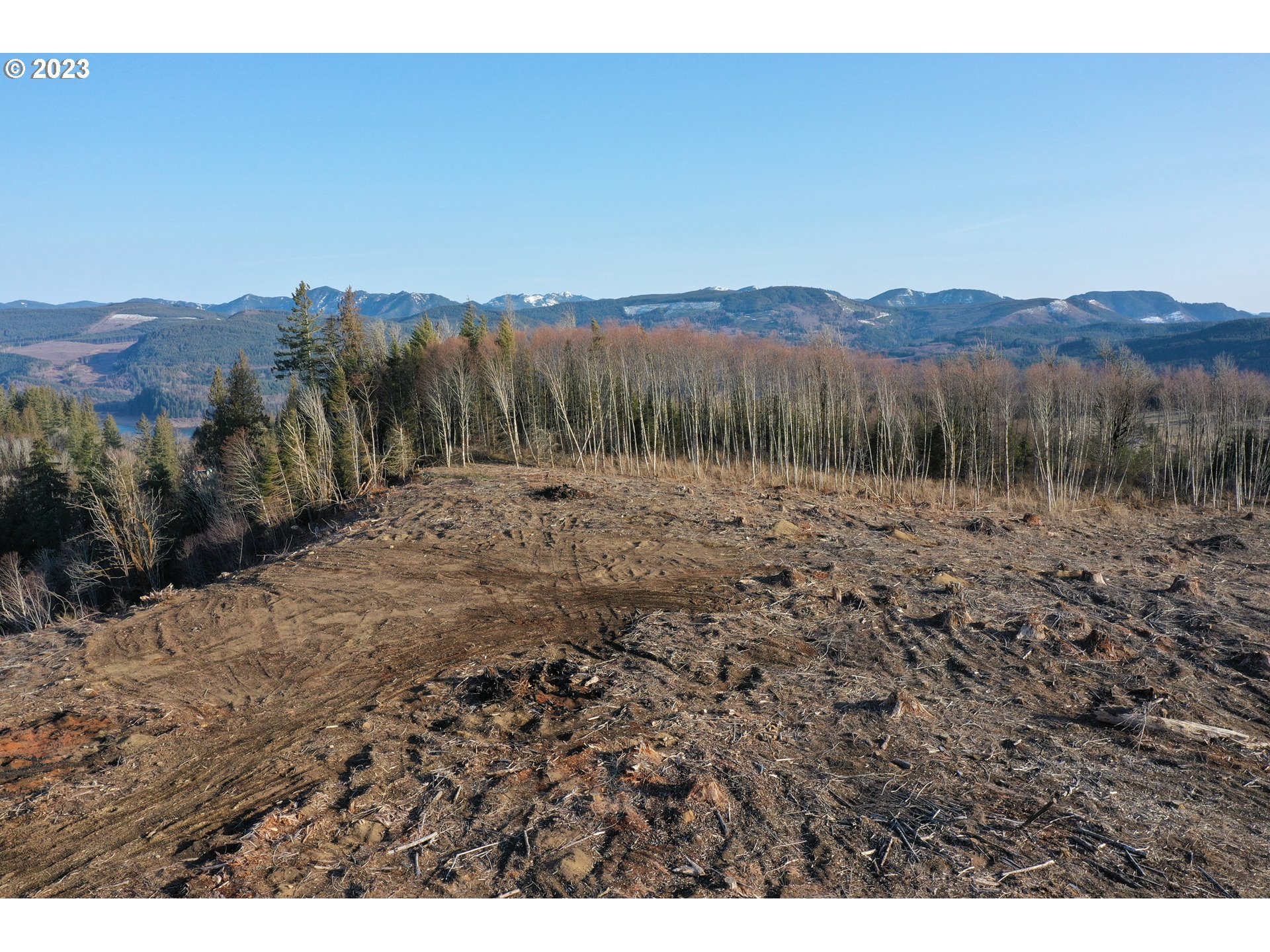 4 Hagen Road Mossyrock, WA 98564 - Photo 14 of 24