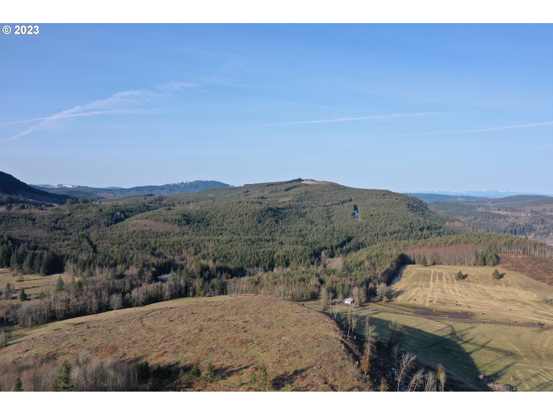 4 Hagen Road Mossyrock, WA 98564 - Photo 20 of 24