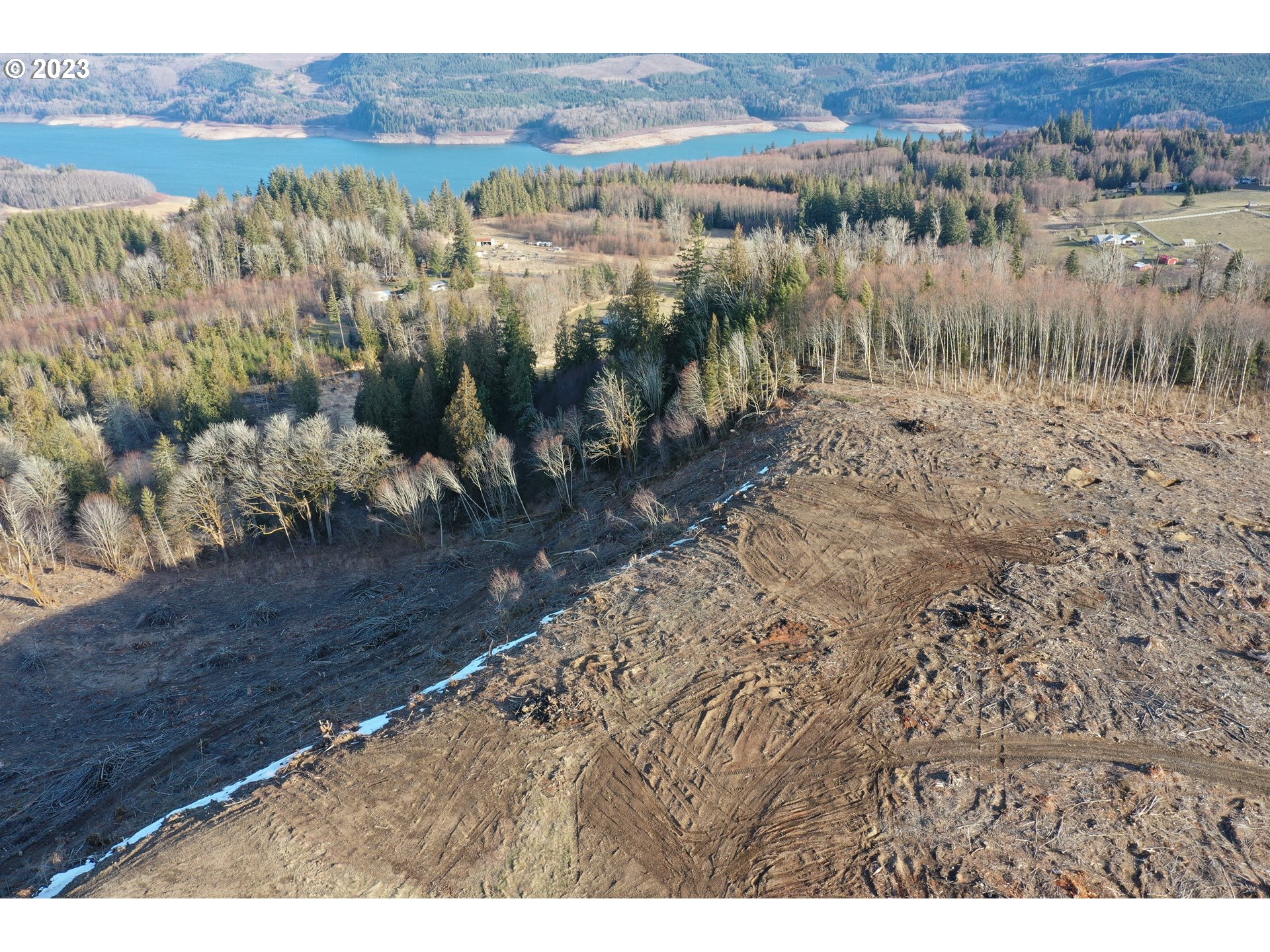 4 Hagen Road Mossyrock, WA 98564 - Photo 22 of 24 a view of a yard with an outdoor space