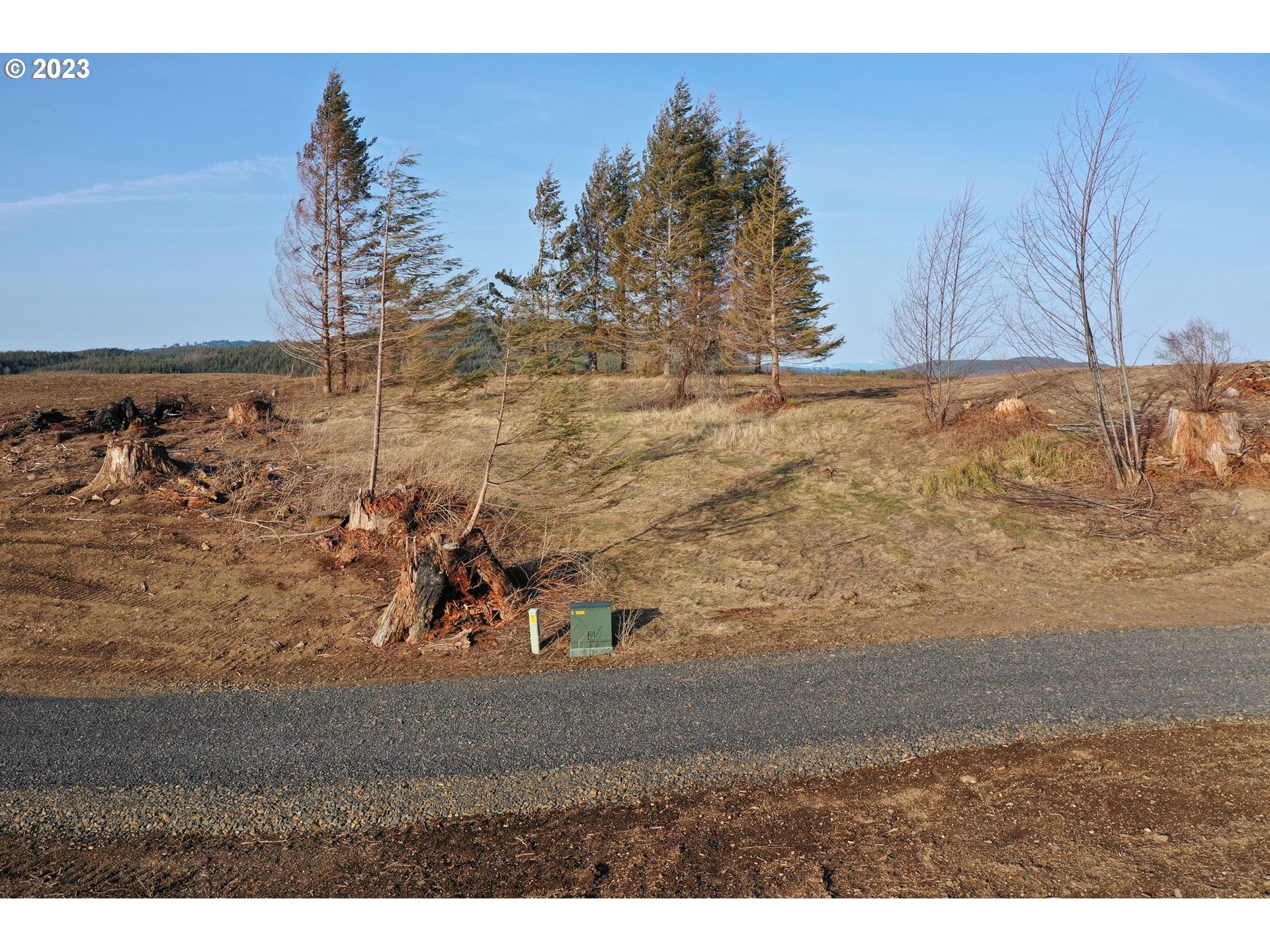 4 Hagen Road Mossyrock, WA 98564 - Photo 4 of 24