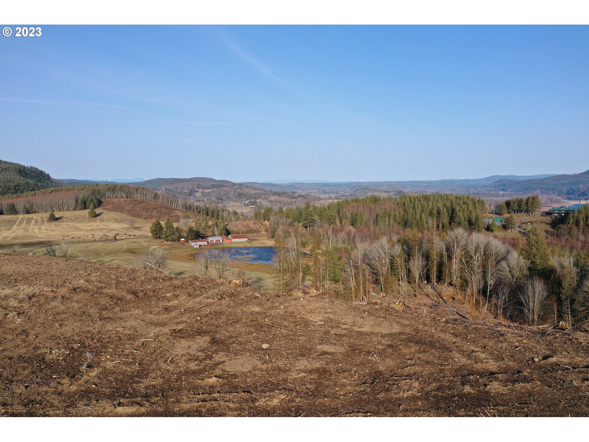 4 Hagen Road Mossyrock, WA 98564 - Photo 6 of 24