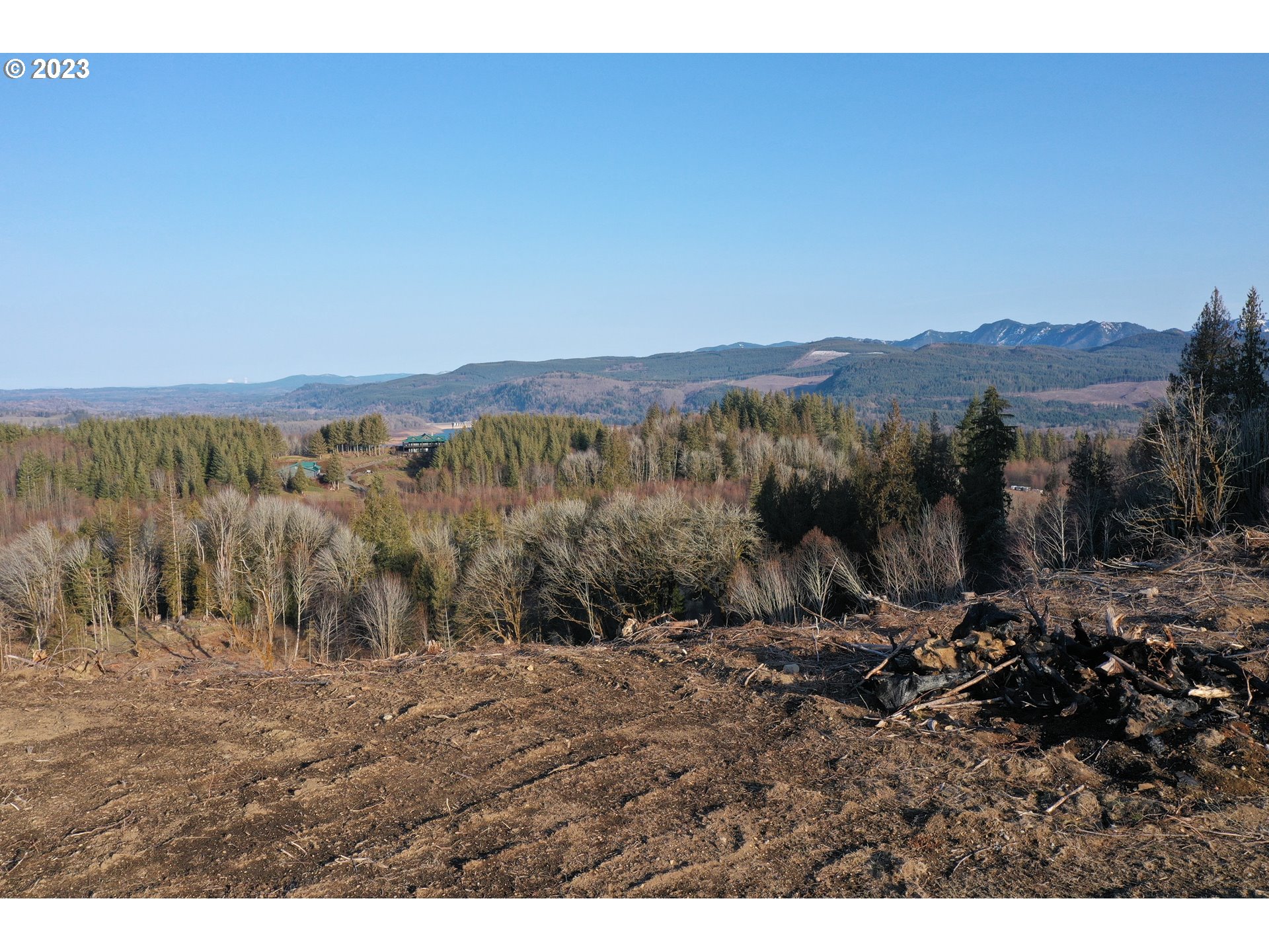 4 Hagen Road Mossyrock, WA 98564 - Photo 7 of 24