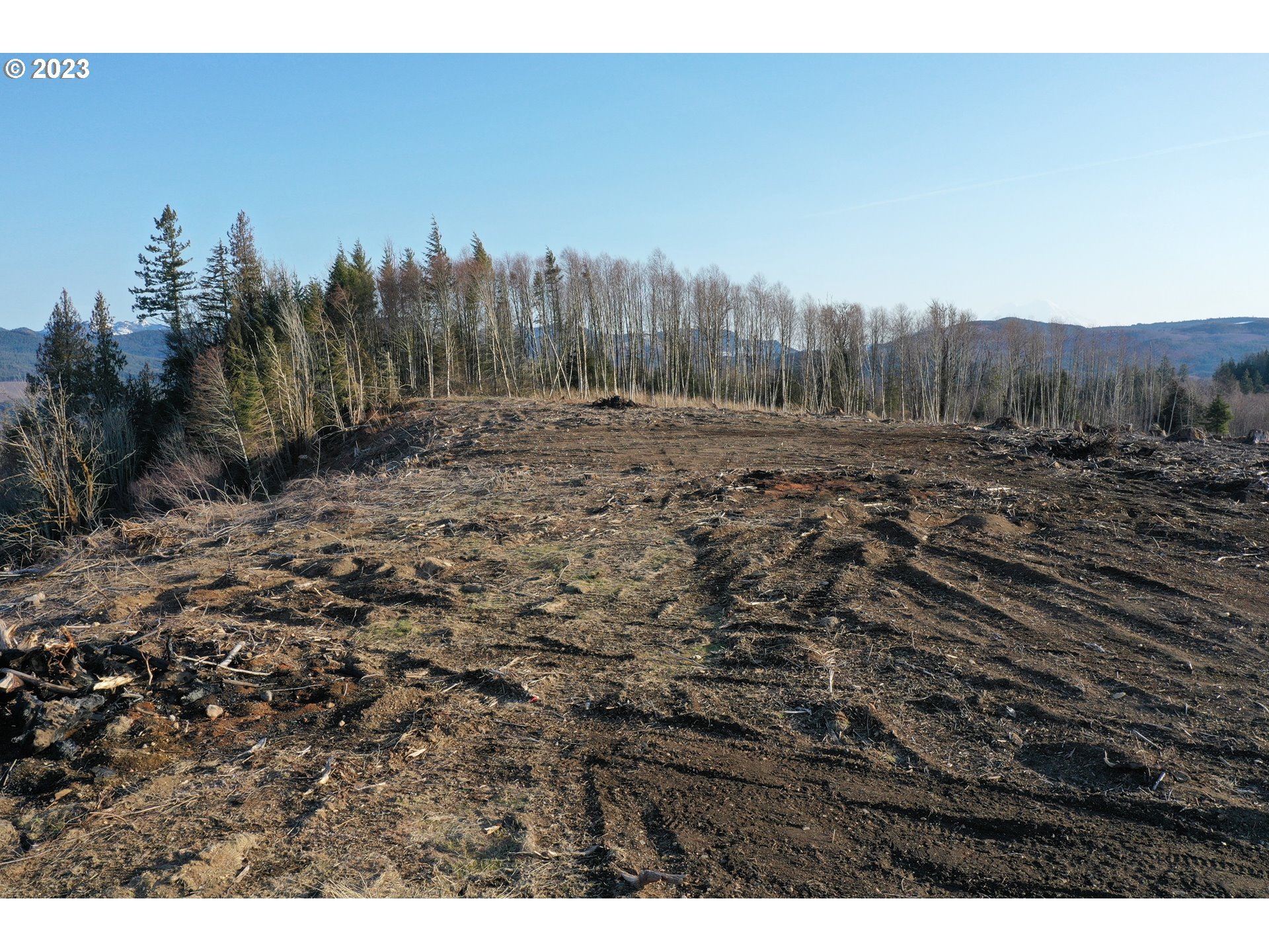 4 Hagen Road Mossyrock, WA 98564 - Photo 8 of 24