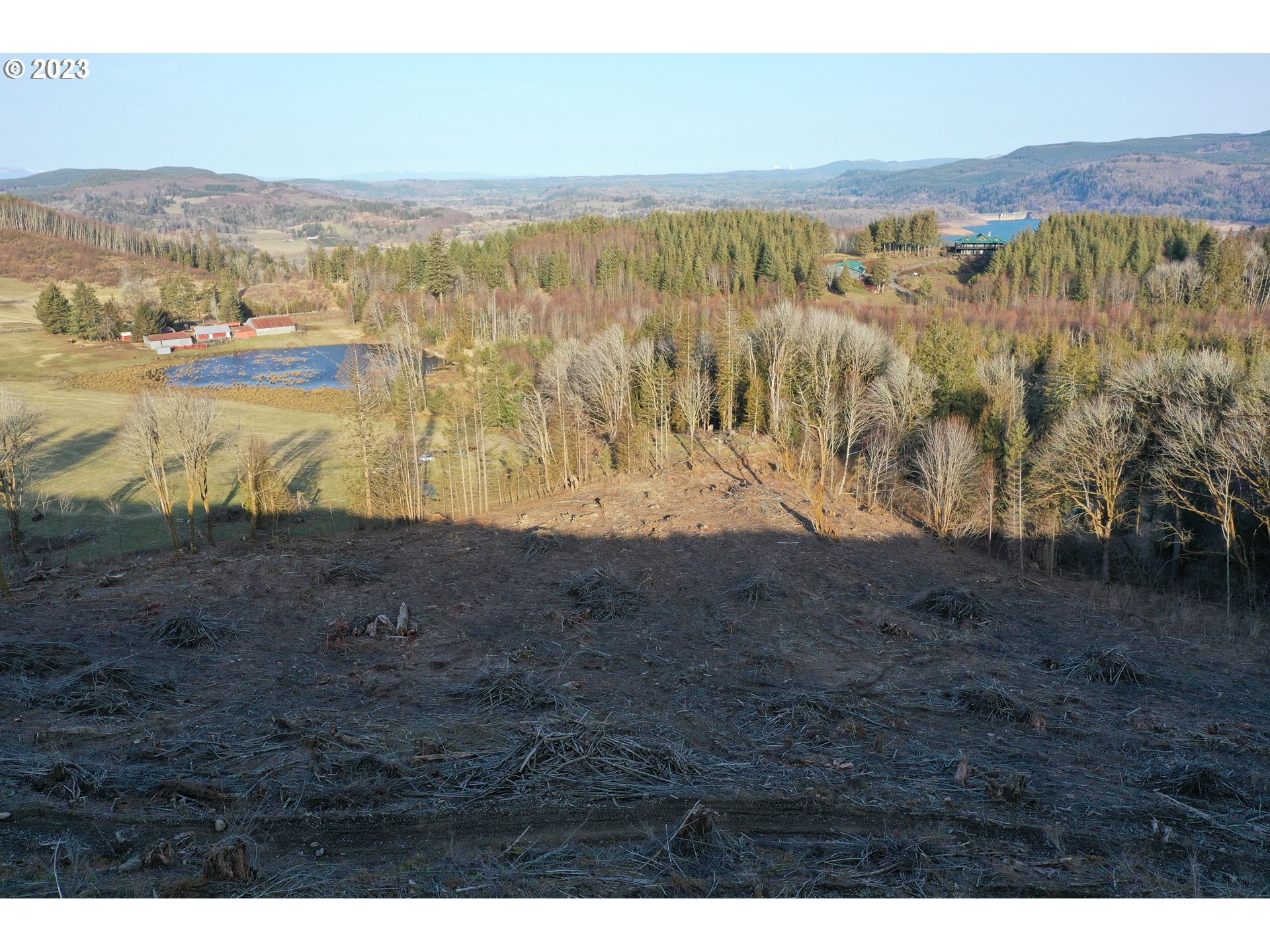 4 Hagen Road Mossyrock, WA 98564 - Photo 9 of 24