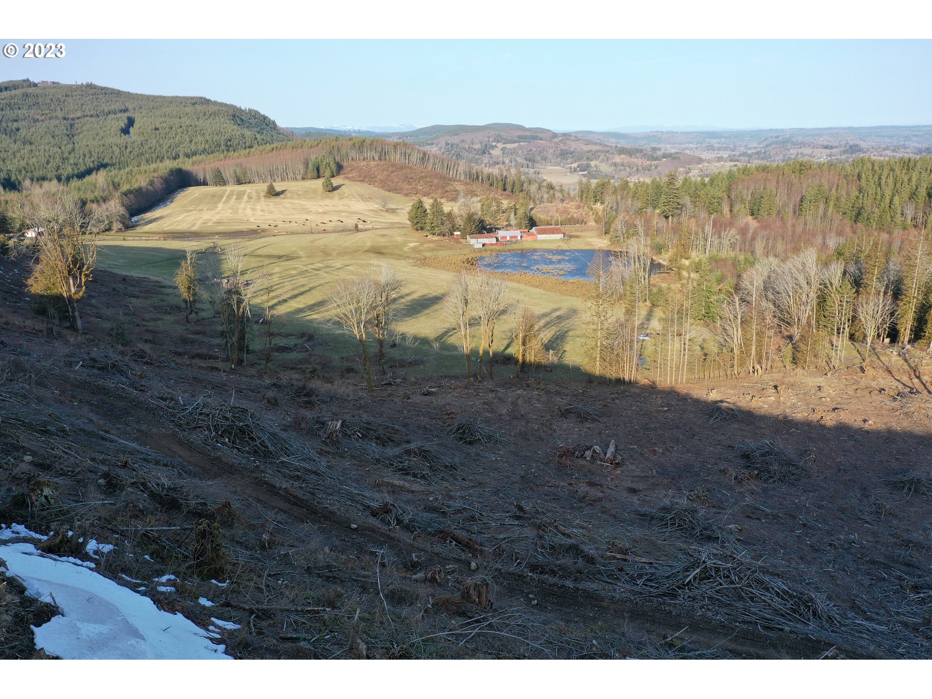 4 Hagen Road Mossyrock, WA 98564 - Photo 10 of 24