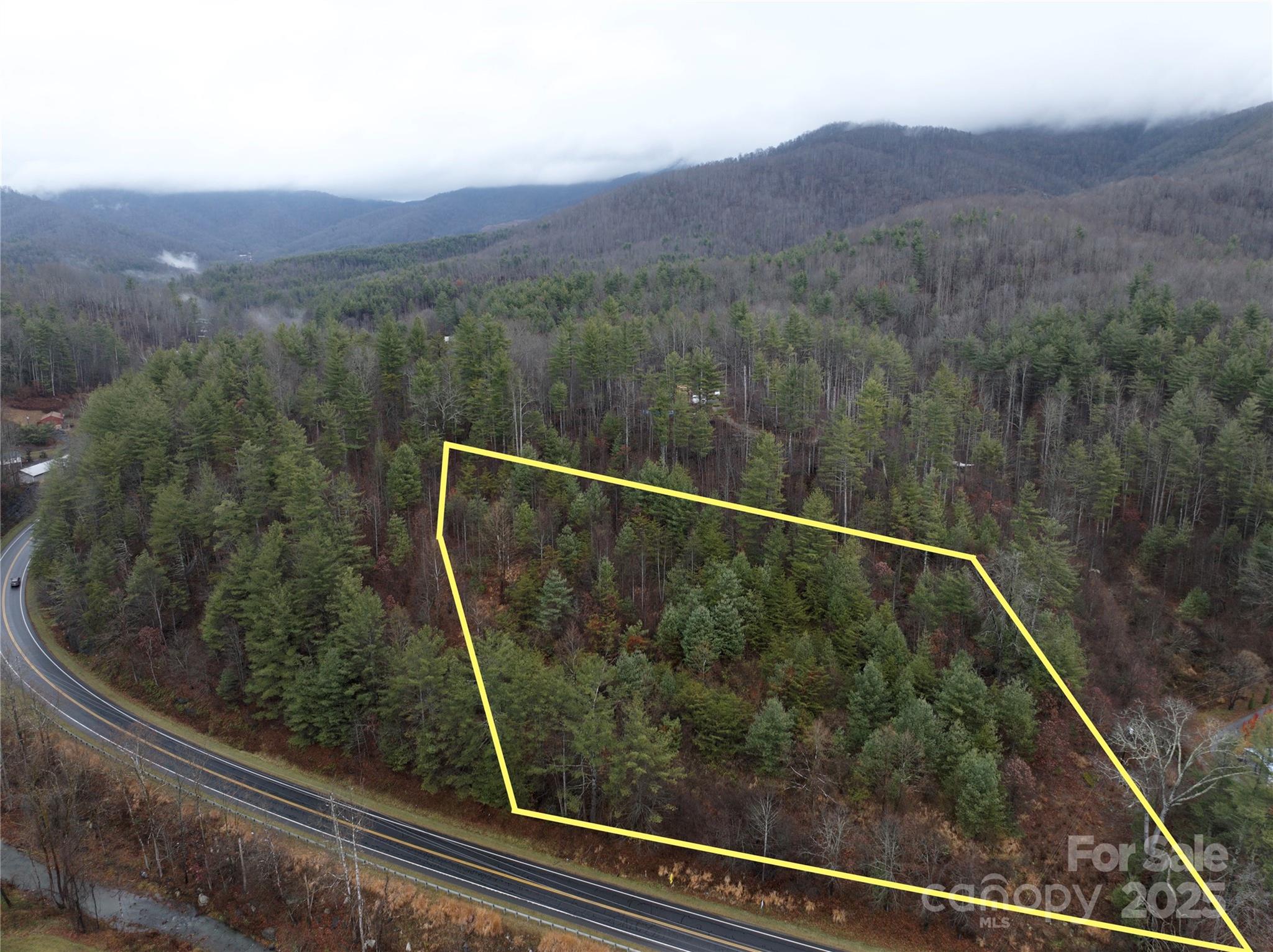 532 Pitman Road Bakersville, NC 28705 - Photo 3 of 11 a view of a balcony with a forest
