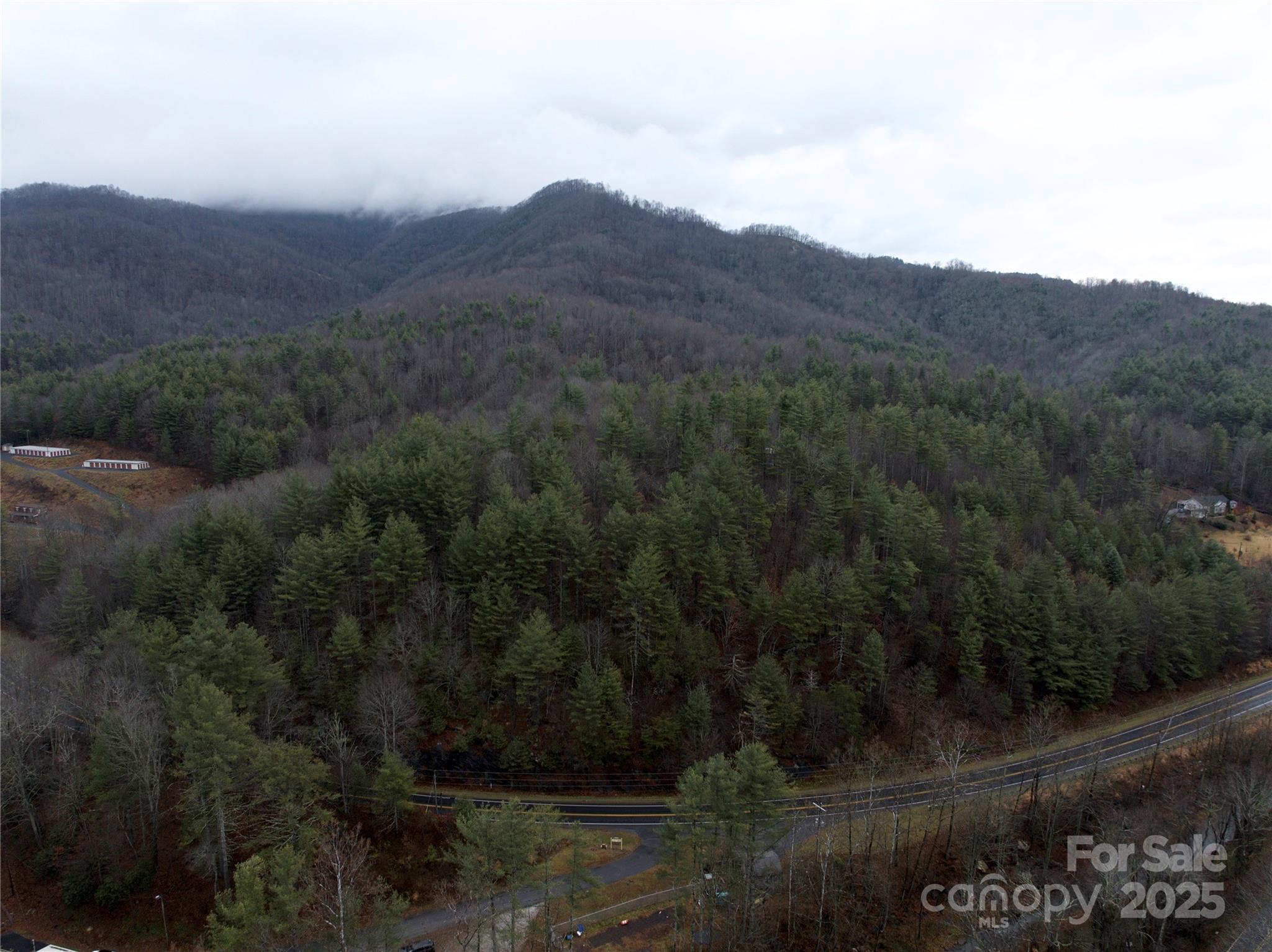 532 Pitman Road Bakersville, NC 28705 - Photo 9 of 11 a view of a house with a street