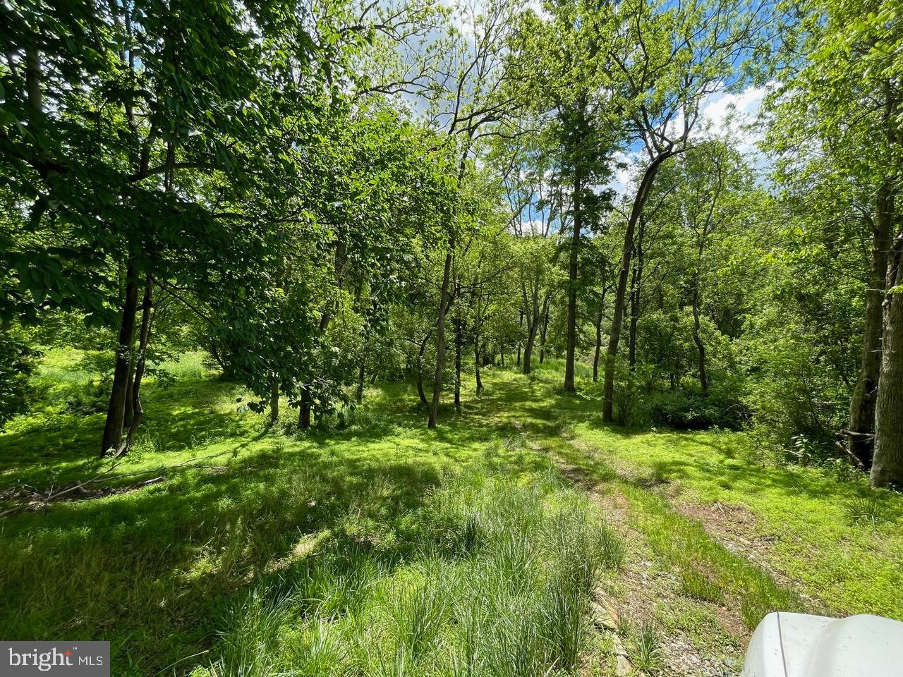 1331 Macton Road Street, MD 21154 - Photo 3 of 9