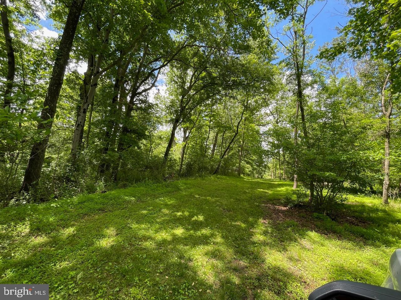 1331 Macton Road Street, MD 21154 - Photo 4 of 9