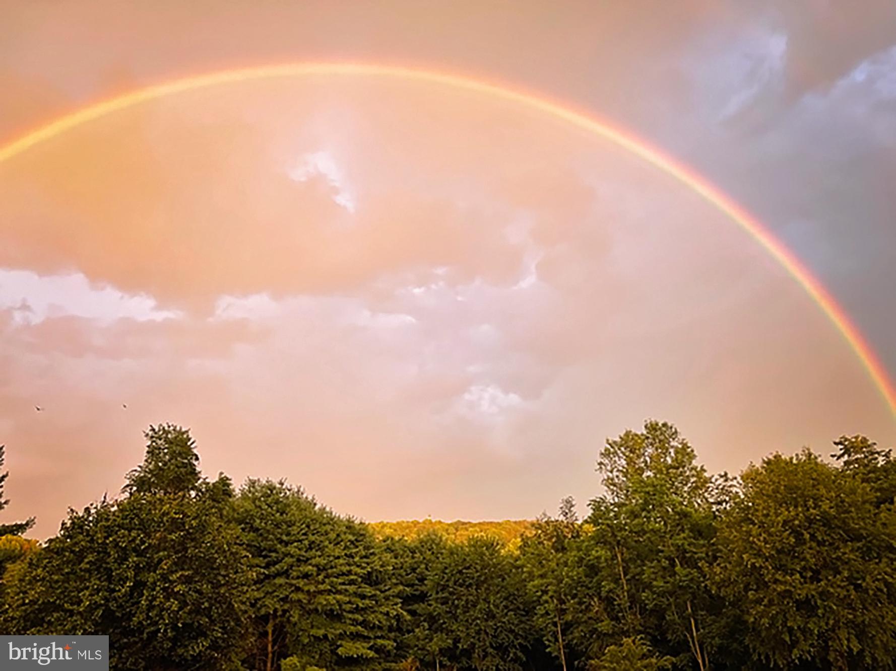 1331 Macton Road Street, MD 21154 - Photo 9 of 9