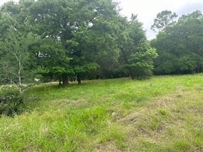 516 Falcon Drive Trinity, TX 75862 - Photo 2 of 7 a view of outdoor space with deck and yard