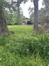 a view of a yard with large trees