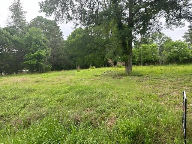 516 Falcon Drive Trinity, TX 75862 - Photo 4 of 7 a backyard of a house with lots of green space