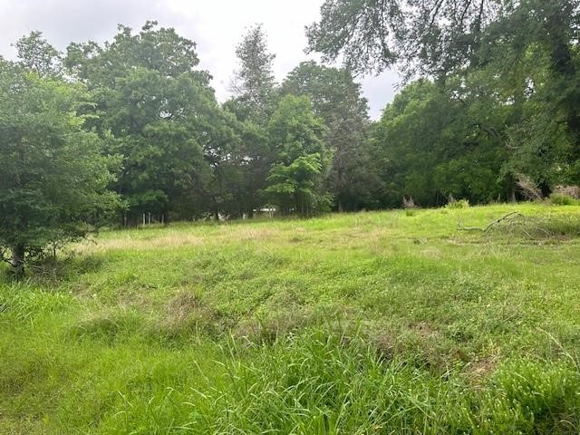 516 Falcon Drive Trinity, TX 75862 - Photo 5 of 7 a view of outdoor space with a yard