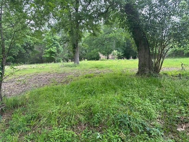 516 Falcon Drive Trinity, TX 75862 - Photo 6 of 7
