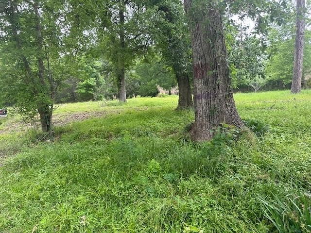 516 Falcon Drive Trinity, TX 75862 - Photo 7 of 7 a view of outdoor space and yard