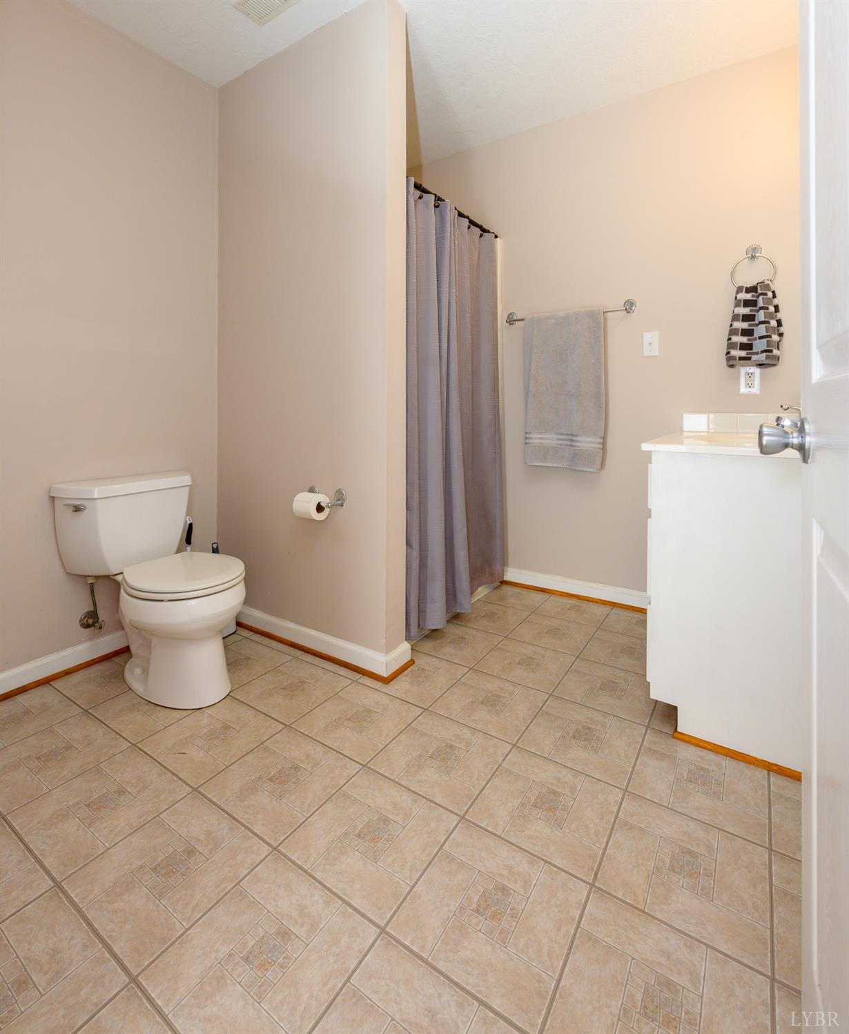 151 Wilderness Road Rustburg, VA 24588 - Photo 51 of 63 a bathroom with a toilet and a shower