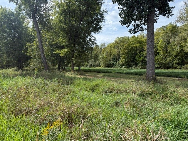 19101 Harrison Street Road Charleston, IL 61920 - Photo 54 of 69 Gallery Image 54