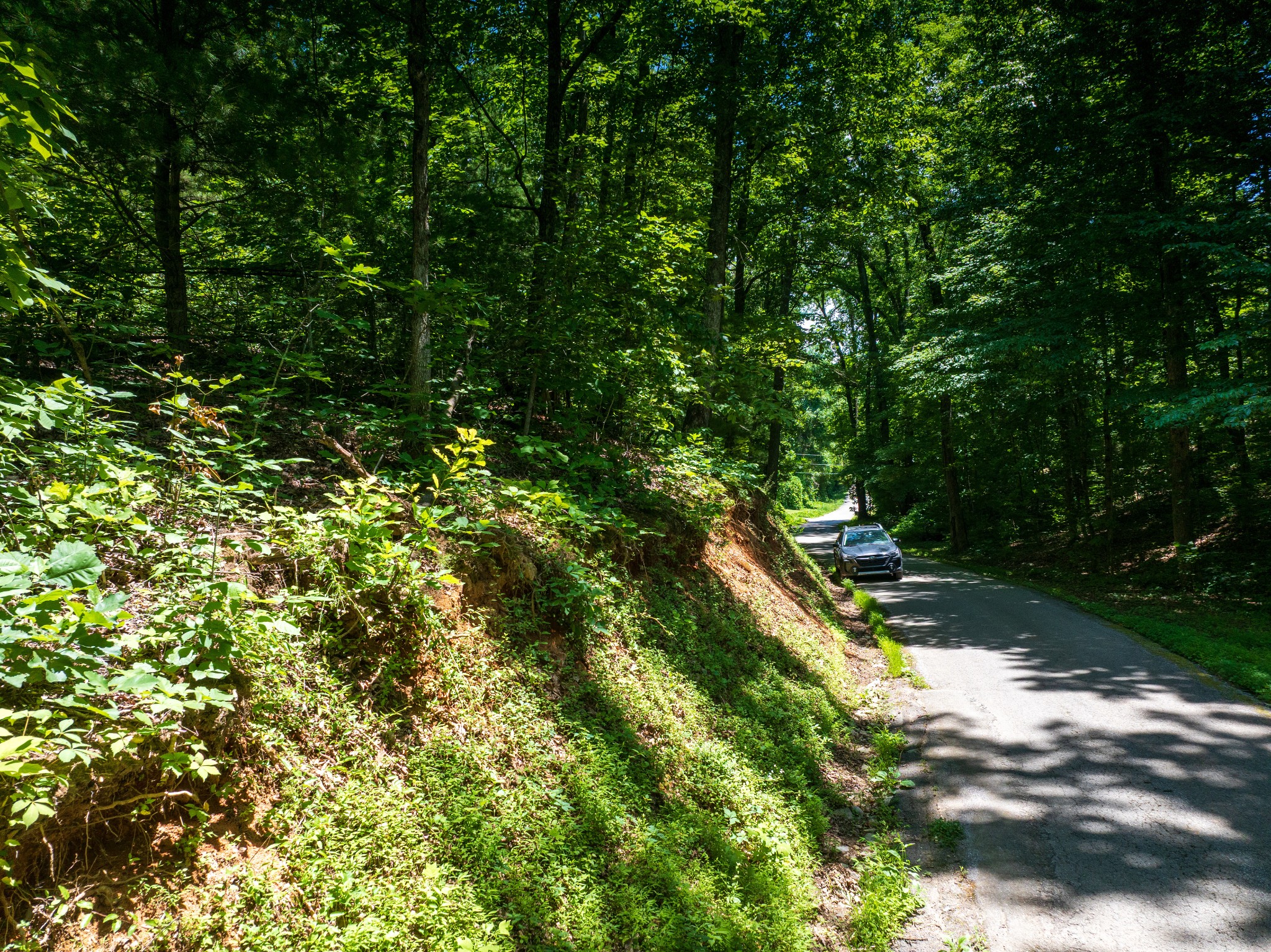 1175 McGhee Road Greenback, TN 37742 - Photo 25 of 31