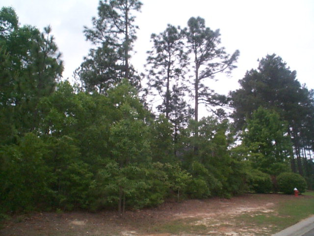 Lot 551 Forest Bluff Road Aiken, SC 29803 - Photo 1 of 1